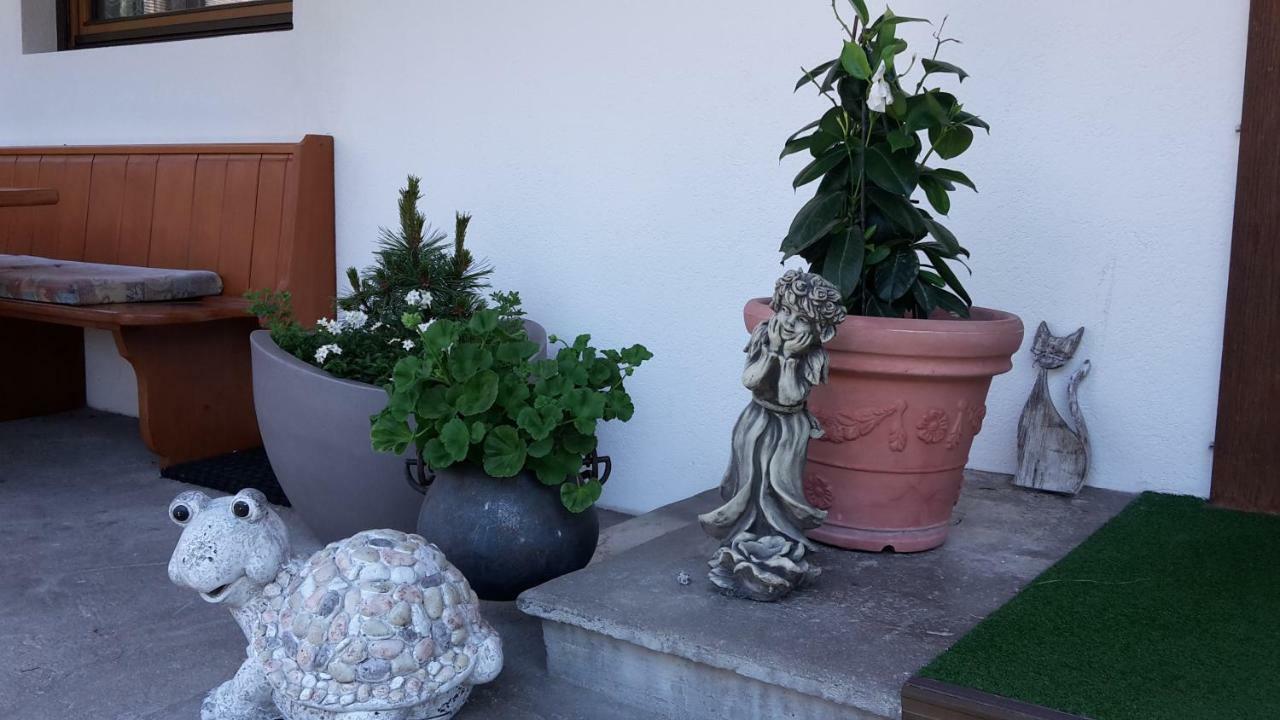 Pension Schwemberger Ohne Fruehstueck マイヤーホーフェン エクステリア 写真